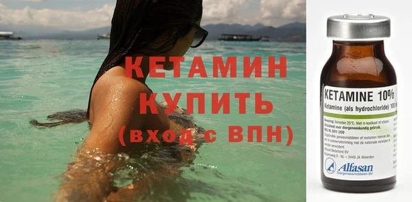 крисы Верея