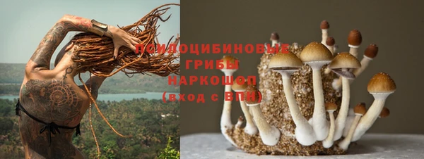 ешки Покров