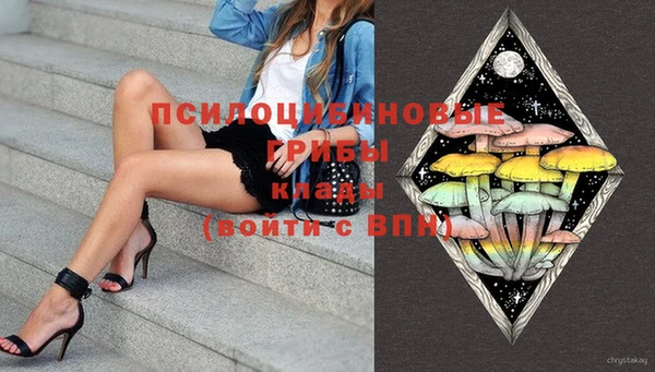 индика Красноперекопск