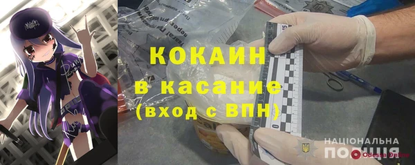 крисы Верея